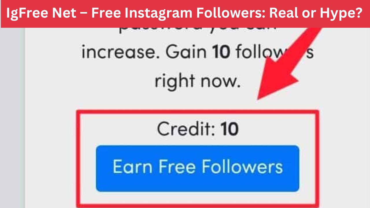 IgFree Net – Free Instagram Followers: Real or Hype? (2025)